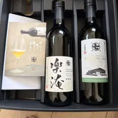 BANDERAS DEL BRUC 白ワイン 2本セット BANDERAS DEL BRUC 白ワイン 2本セット - メルカリ