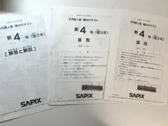 サピックス SAPIX 4年 3月度復習テスト2023年 - メルカリ