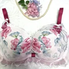 ルジェ Wacoal リボンブラ D75