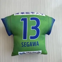 SEGAWA 13 MELDIA クッション