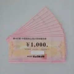ビックカメラ　株主優待　10,000円分(1,000円×10枚)