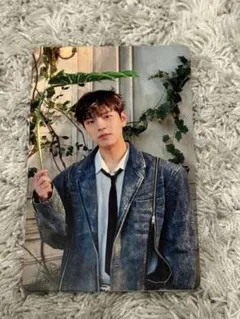 stray kids スキズ　スンミン Hollow トレカ　封入