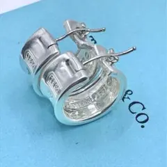 2025年最新】TIFFANY ピアス(両耳用)の人気アイテム - メルカリ