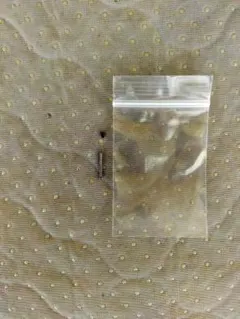 SIG M17 M18 ローディング ノズル リターンスプリング 130%