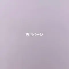 専用ページ