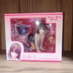 未開封ToHeart2 AnotherDays向坂環 ピンクメイドVer.1/8 - メルカリ