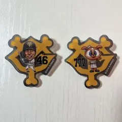 読売ジャイアンツ 大城卓三 シスタージャビット アクリルバッジ2個セット
