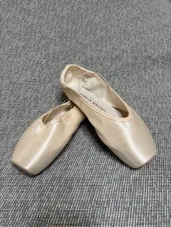 りんごGaynor Minden トゥシューズ 2足セット りんご様専用Gaynor Minden トゥシューズ 2足セット - メルカリ