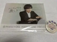 中島健人 パーフェクトワン 非売品 ポーチ 2025年最新】中島健人 パーフェクトワン ポーチの人気アイテム