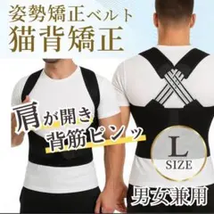 猫背矯正 姿勢サポーター 背筋ベルト 男女兼用 肩甲骨サポート