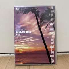 virtual trip THE BEACH HAWAII MAUI HD M…