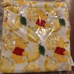 Item thumbnail for item fb7dbda2-65ec-454e-9669-7c17f63bb3dd