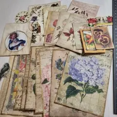 コーヒー染めの紙素材などのセット①植物 英字 ジャンクジャーナルやコラージュ用