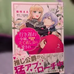行き遅れ令嬢が領地経営に奔走していたら立て直し公に愛されました 2