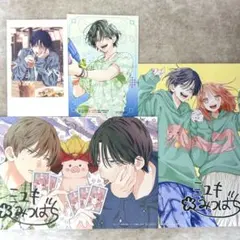 春の嵐とモンスター 特典 アニメイト 8巻 ９巻 イラストカード チェキ風カード