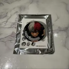 僕のヒーローアカデミア 轟焦凍 ジャンフェス ガラスマグネット コレクション