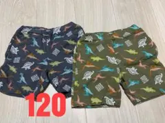 恐竜柄 半ズボン 120cm 2枚セット