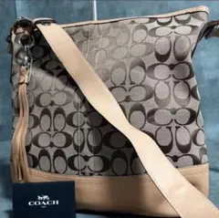 コーチ ショルダーバッグ クロスボディ シグネチャー キャンバス レザー 本革