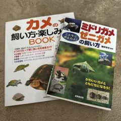 Item thumbnail for item b26a774d-4c10-41b6-a41c-2de3642306fa