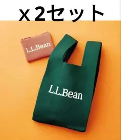 リンネル11月号付録 L.L.Bean ニットバッグ＆ポーチ 2点セット