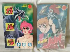 2026年最新】鉄の処女JUNの人気アイテム - メルカリ
