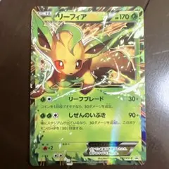 2025年最新】リーフィアEX 192/XY-Pの人気アイテム - メルカリ