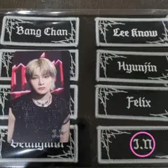 Item thumbnail for item 557f614e-e49d-4b93-89e6-2fc48d5de818