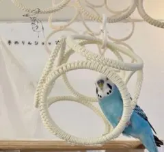 Item thumbnail for item c72465a9-64f2-4d44-b2bf-5b91bcf0ed1f