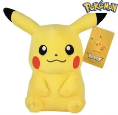 ぬいぐるみ18〜20cmポケモン公式タグ付き可愛い