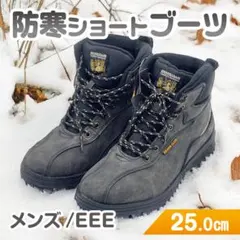 Item thumbnail for item 4eeee710-360d-49f5-8065-73cb81118155