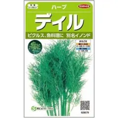 ディル イノンド 種100粒（ハーブ）花の種