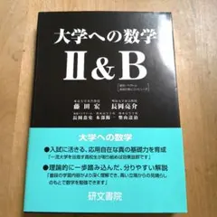 大学への数学 II & B 藤田宏 長岡亮介のサムネイル