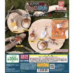 なめこ栽培キット めじるしアクセサリー バラ売り