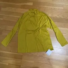 Item thumbnail for item 22911450-d708-44b0-8c74-63c09e534060