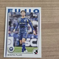 町田ゼルビア スポーツカード