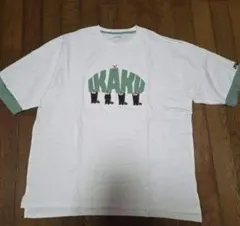 グラニフ イカク レッサーパンダ ビッグシルエットTシャツ L リンガー