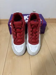 NIKE SB ナイキ エアマックス イショッド