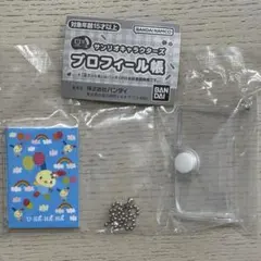 サンリオキャラクターズ　プロフィール帳　ウサハナ