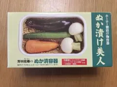 野田琺瑯 ぬか漬け美人