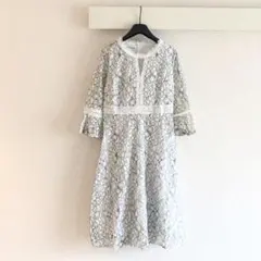 SALE!!新品未使用！サイズL 総レースひざ丈ワンピース　インポート