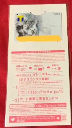 Eve オリジナルdポイントカード Smileタワーレコード予約特典 タワレコ