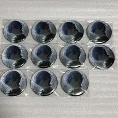 プロセカ KAITO グリッター缶バッジ 11個