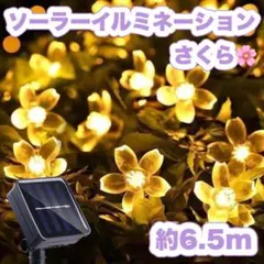 Item thumbnail for item 7c030c53-c1bd-43bb-b80a-27fa679b5f51