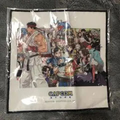 ストリートファイター 西村キヌ 描き下ろし クリアファイル CAPCOM