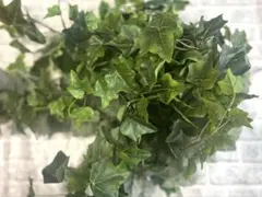 アイビー フェイクグリーン 観葉植物のサムネイル