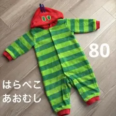 【2回着用】はらぺこあおむし　なりきり　着ぐるみ　コスチューム　衣装　80㎝