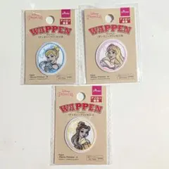 新品未使用♡　ワッペン　ディズニー プリンセス　幼稚園　３枚セット