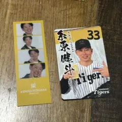 阪神タイガース 糸原健斗 フォトカードセット