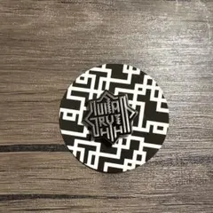 布袋寅泰 ピンズカプセル GUITARHYTHM LOGO