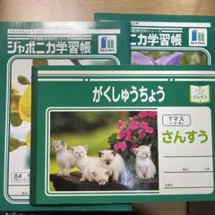 Item thumbnail for item 39809067-8a24-4fa0-8154-05e18afc98c0